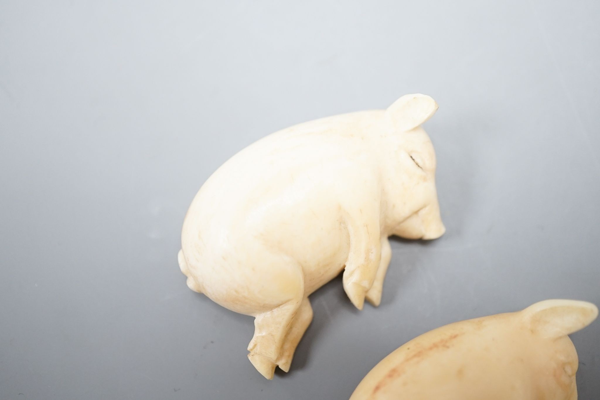 Two ivory sleeping pigs., 5 cms wide